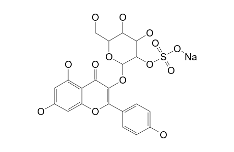 KAEMPFEROL;3-O-BETA-(2''-SULPHATOGALACTOPYRANOSIDE)