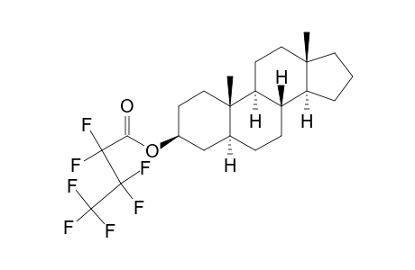 Androstan-3-ol, heptafluorobutanoate, (3.beta.,5.alpha.)-