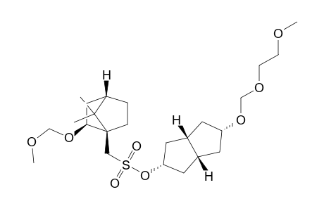 Bicyclo[2.2.1]heptane-1-methanesulfonic acid, 2-(methoxymethoxy)-7,7-dimethyl-, octahydro-5-[(2-methoxyethoxy)methoxy]-2-pentalenyl ester, stereoisomer