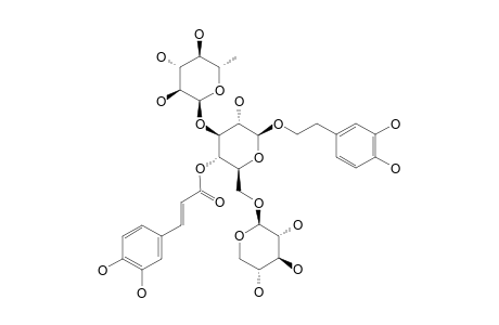 ANGOROSIDE-A;3,4-DIHYDROXY-BETA-PHENYLETHOXY-O-ALPHA-L-ARABINOPYRANOSYL-(1->6)-ALPHA-L-RHAMNOPYRANOSYL-(1->3)-4-O-CAFFEOYL-BETA-D-GLUCOPYRANOSIDE