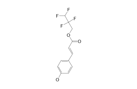 p-Coumaric acid, 2,2,3,3-tetrafluoro-1-propyl ester