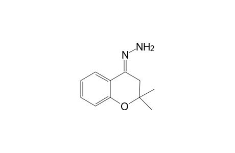 2,2-Dimethylchroman-4-one Hydrazone
