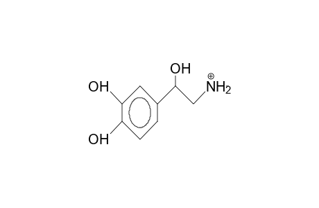 1-(3,4-Dihydroxy-phenyl)-2-methylammonio-ethanol cation