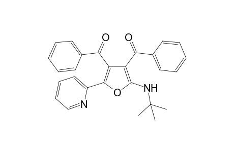 {2-[(1,1-Dimethylethyl)amino]-5-(pyridin-2-yl)furan-3,4-diyl}bis[phenylmethanone]