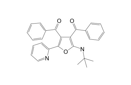 {2-[(1,1-Dimethylethyl)amino]-5-(pyridin-2-yl)furan-3,4-diyl}bis[phenylmethanone]