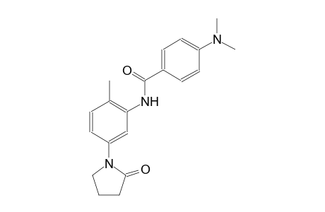 benzamide, 4-(dimethylamino)-N-[2-methyl-5-(2-oxo-1-pyrrolidinyl)phenyl]-