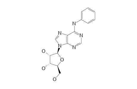 6-PHENYLAMINO-9-(BETA-D-RIBOFURANOSYL)-PURINE