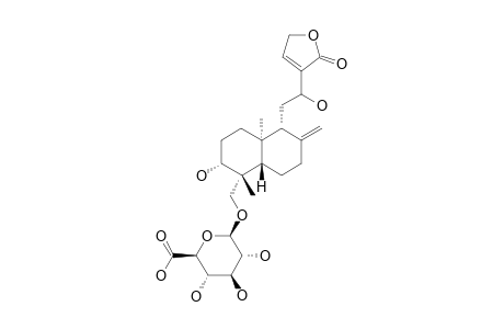 14-DEOXY-12-HYDROXY-ANDROGRAPHOLIDE-19-O-BETA-D-GLUCURONIDE