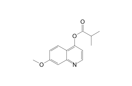 7-Methoxy-4-quinolinol, 2-methylpropionate