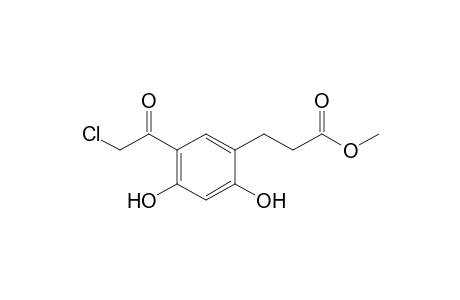 3-[5-(2-chloro-1-oxoethyl)-2,4-dihydroxyphenyl]propanoic acid methyl ester