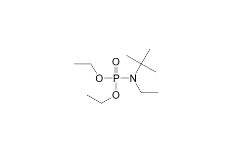 Phosphoramidic acid, (1,1-dimethylethyl)ethyl-, diethyl ester