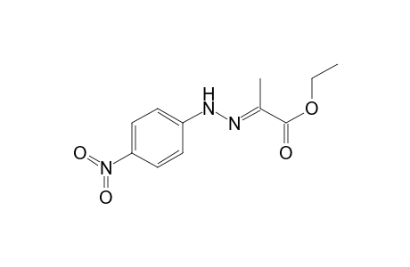 Ethyl (2E)-2-[(4-nitrophenyl)hydrazono]propanoate