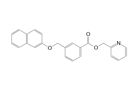 2-pyridinylmethyl 3-[(2-naphthyloxy)methyl]benzoate