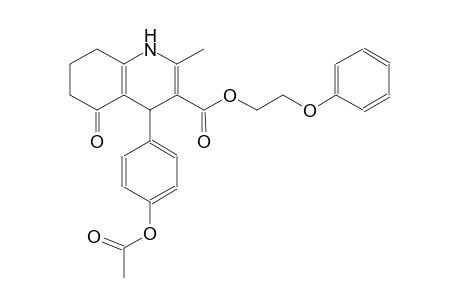 3-quinolinecarboxylic acid, 4-[4-(acetyloxy)phenyl]-1,4,5,6,7,8-hexahydro-2-methyl-5-oxo-, 2-phenoxyethyl ester