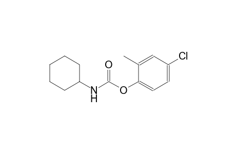 4-chloro-2-methylphenyl cyclohexylcarbamate