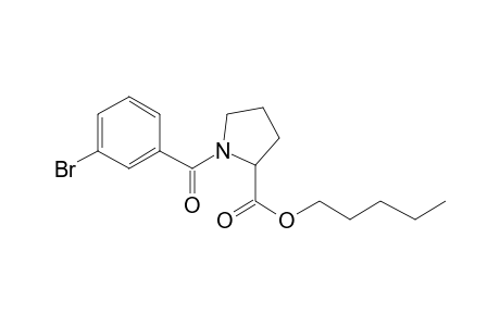 L-Proline, N-(3-bromobenzoyl)-, pentyl ester