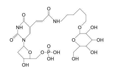 2'-Deoxy-5-(4-aza-3-oxo-10-<1-A-D-mannopyranosyl>-dec-1-enyl)-uridine-5'-phosphate