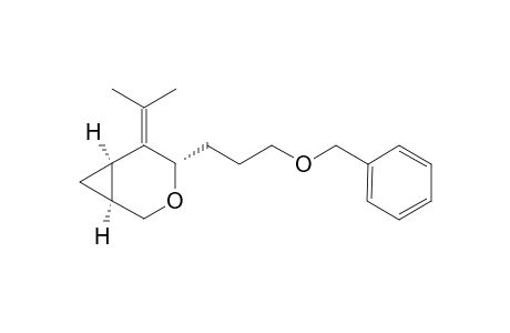 (1S*,4S*,6R*)-4-(3-Benzyloxy-propyl)-5-isopropylidene-3-oxabicyclo[4.1.0]heptane