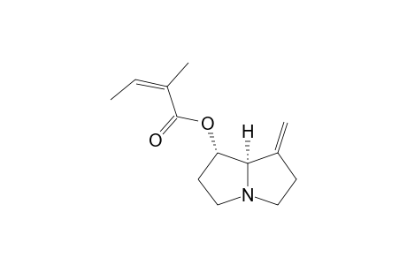 7-ALPHA-ANGELYL-1-METHYLENE-8-ALPHA-PYRROLIZIDINE