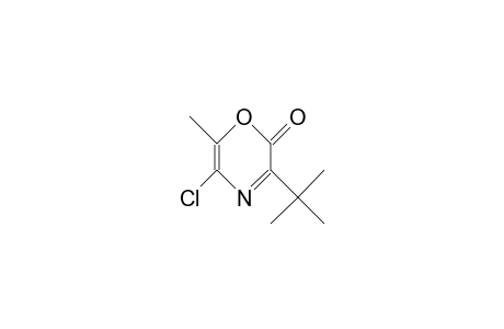 3-tert-Butyl-5-chloro-6-methyl-2H-1,4-oxazin-2-one