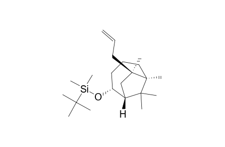 (1R*,2R*,6R*,7R*)-7-Allyl-2-(tert-butyldimethylsiloxy)-6,7,9,9-tetramethylbicyclo[4.2.1]nonane