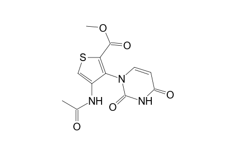 4-Acetamido-3-(2,4-diketopyrimidin-1-yl)thiophene-2-carboxylic acid methyl ester