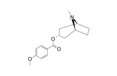 DATUMETINE