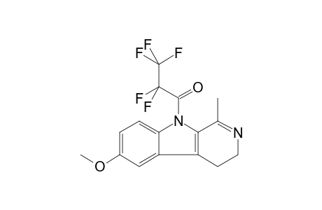 2,2,3,3,3-pentafluoro-1-(6-methoxy-1-methyl-3,4-dihydro-$b-carbolin-9-yl)propan-1-one