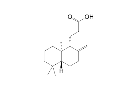 ent-14,15,16-trinorlabd-8(20)-en-13-oic acid