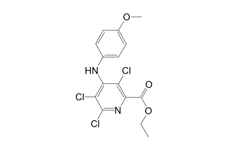 3,5,6-Trichloro-4-(4-methoxy-phenylamino)-pyridine-2-carboxylic acid ethyl ester