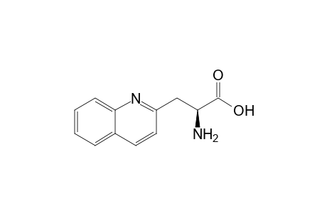 (2S)-2-amino-3-(2-quinolinyl)propanoic acid