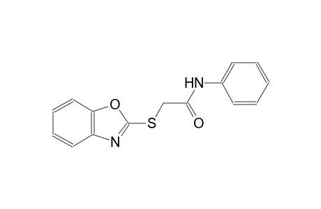 2-(1,3-benzoxazol-2-ylsulfanyl)-N-phenylacetamide