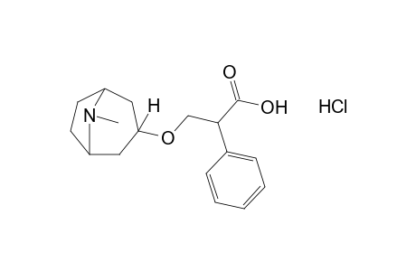 tropan-3-ol, (+)-tropate (ester). hydrochloride