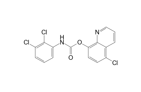 5-chloro-8-quinolinol, 2,3-dichlorocarbanilate (ester)