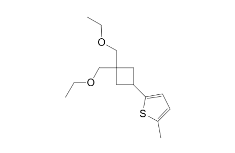 2-(3,3-Bis-ethoxymethyl-cyclobutyl)-5-methyl-thiophene