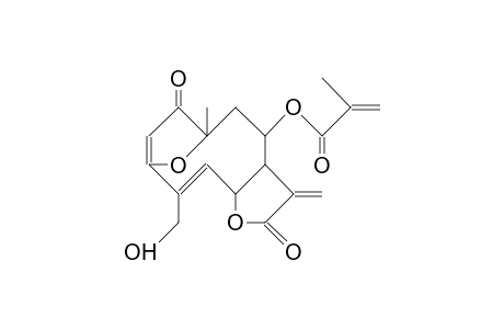 Methacryloyl-budlein