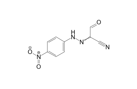 3-Oxo-2-(4-nitro-phenylhydrazono)propionitrile