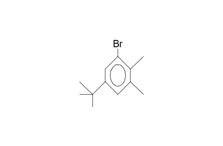5-tert-Butyl-2,3-dimethyl-1-bromo-benzene