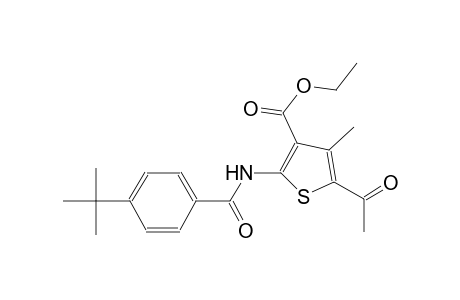 3-thiophenecarboxylic acid, 5-acetyl-2-[[4-(1,1-dimethylethyl)benzoyl]amino]-4-methyl-, ethyl ester