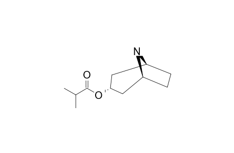 3-ALPHA-ISOBUTYRYLOXY-NORTROPANE