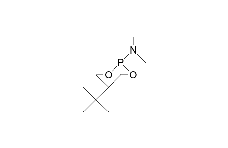 2-Dimethylamino-5-tert-butyl-1,3,2-dioxaphosphorinane (ax-eq-isomer)
