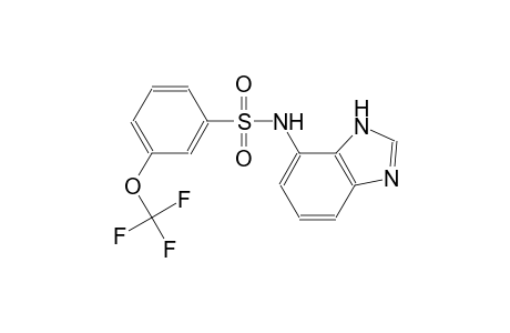 Benzenesulfonamide, N-(3H-benzoimidazol-4-yl)-3-trifluoromethoxy-