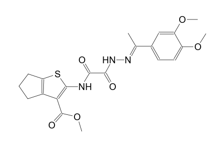 methyl 2-{[{(2E)-2-[1-(3,4-dimethoxyphenyl)ethylidene]hydrazino}(oxo)acetyl]amino}-5,6-dihydro-4H-cyclopenta[b]thiophene-3-carboxylate