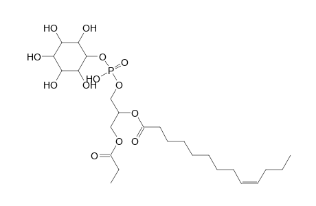 PI 3:0_13:1