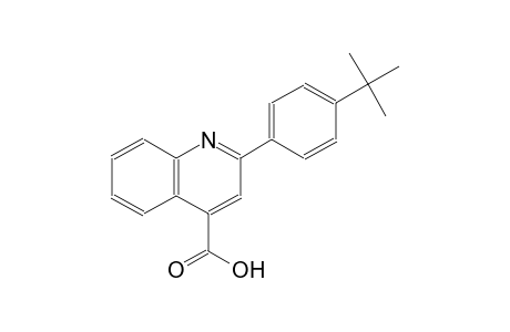 2-(4-tert-butylphenyl)-4-quinolinecarboxylic acid
