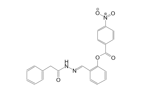 2-{(E)-[2-(2-phenylacetyl)hydrazono]methyl}phenyl 4-nitrobenzoate