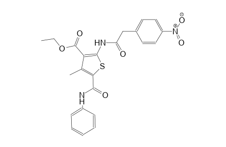 ethyl 5-(anilinocarbonyl)-4-methyl-2-{[(4-nitrophenyl)acetyl]amino}-3-thiophenecarboxylate