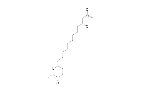 MORUSIMIC-ACID-F;(3R)-3-HYDROXY-12-[(1R,4S,5S)-4-HYDROXY-5-METHYL-PIPERIDIN-1-YL]-DODECANOIC-ACID