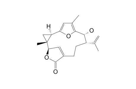 PINNATIN-A