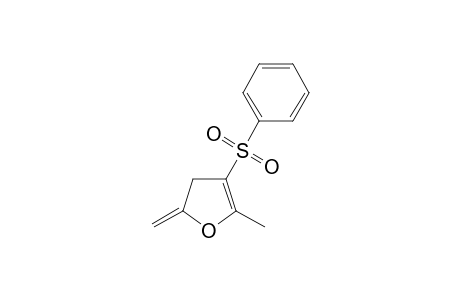2-methyl-5-methylidene-3-phenylsulfonyl-4H-furan